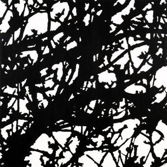 Geäst | Birnbaum | 2012